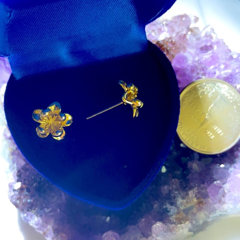 New Adorable Hawaiian 🌺 Flower Post Earrings